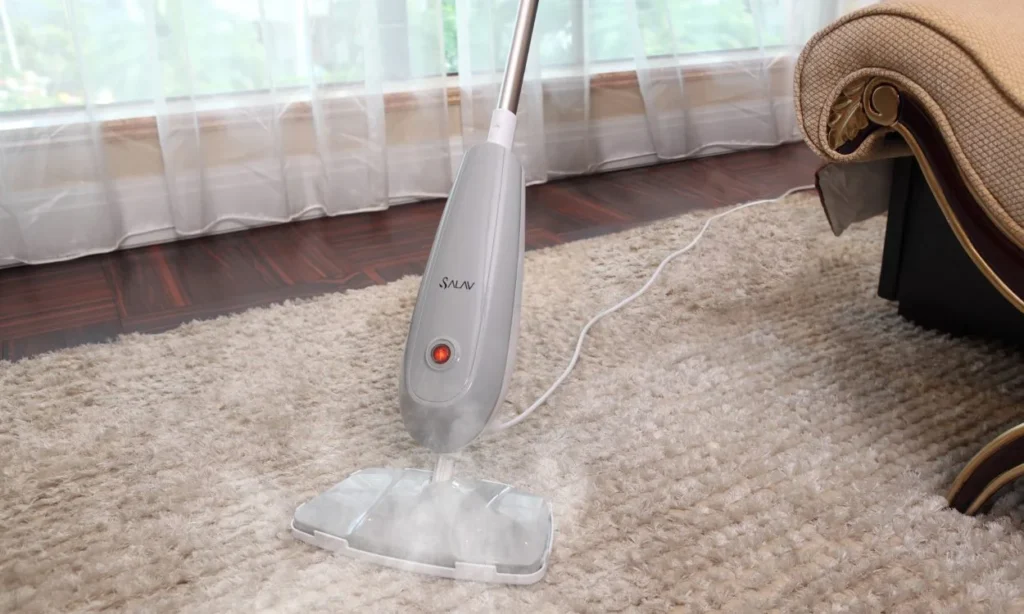 Steam Cleaning Carpets at Home