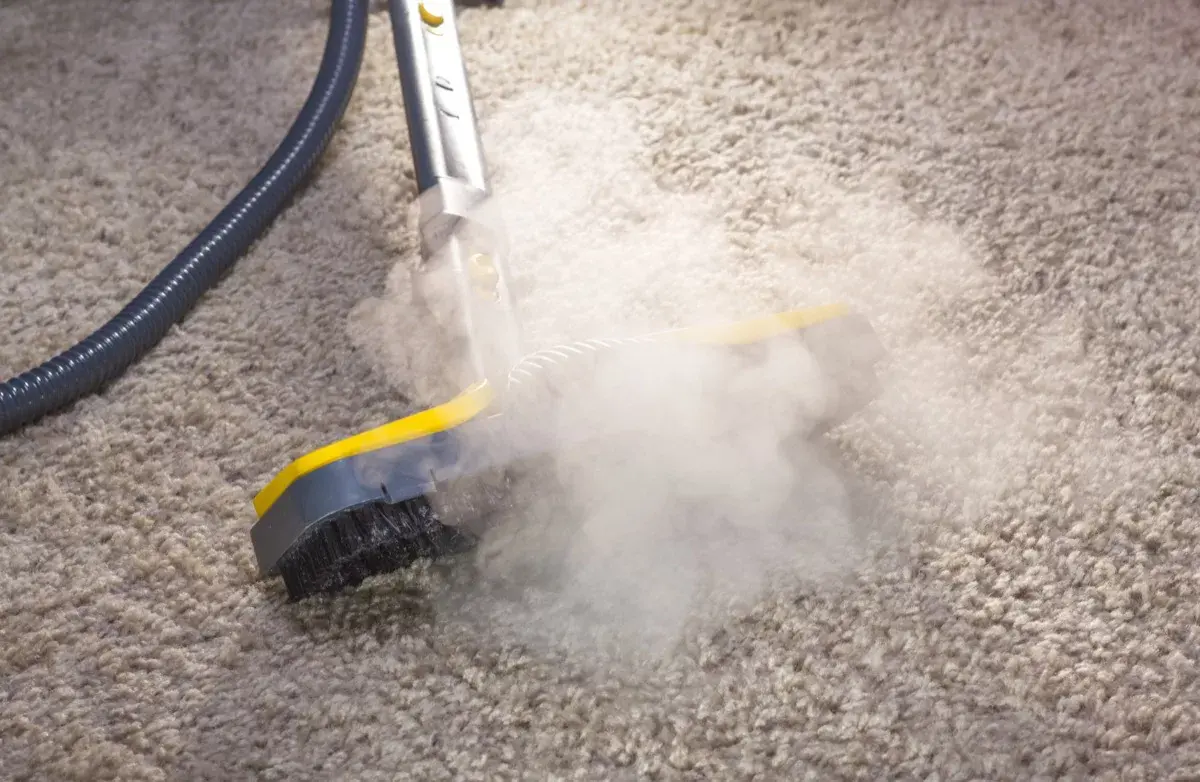 Understanding Steam Cleaning