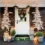 Top Christmas Porch Decor Ideas to Brighten Your Holiday Season