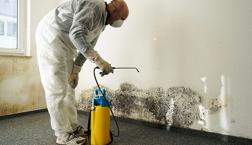 mold remediation for bathrooms.