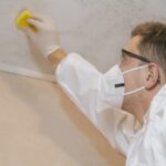 Health Dangers of Mold