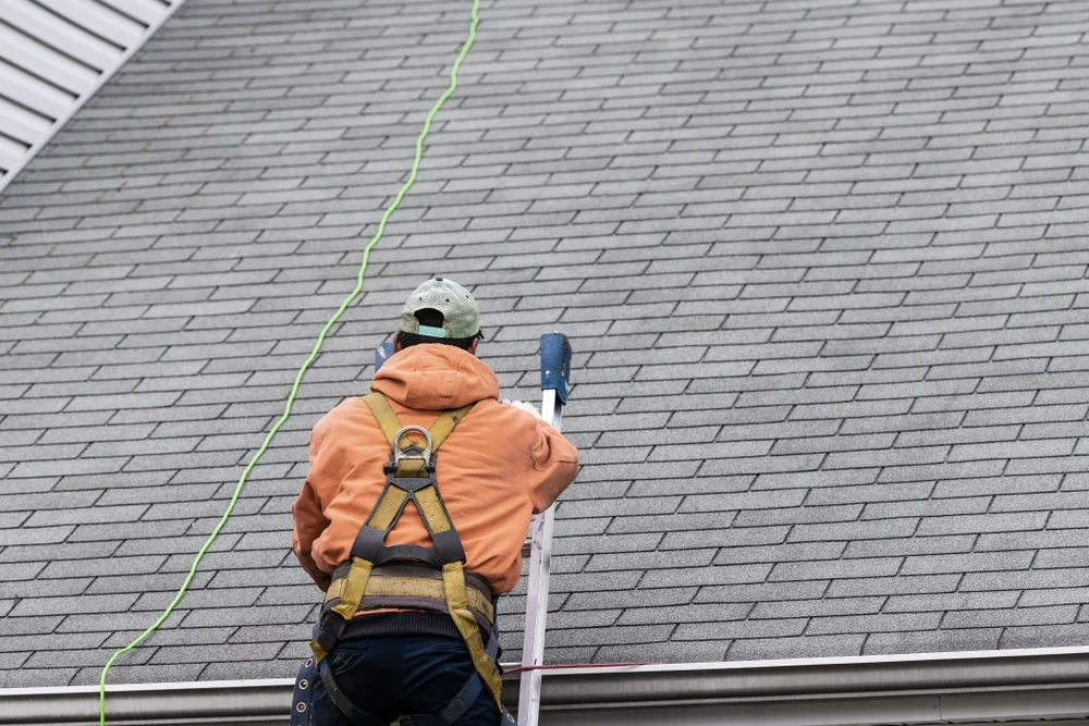 Maintaining Your Shingled Roof