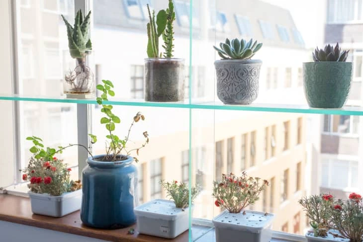 Building a DIY Floating Plant Shelf for Your Window