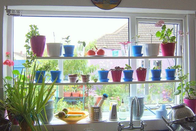 window plant shelf