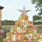 Outdoor Christmas Star Decorations