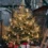 Transform Your Yard with Stunning Outdoor Christmas Tree Decor