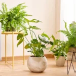 Artificial Plants