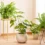 Transform Your Home with Artificial Plants: A Complete Guide to Decorating with Ease