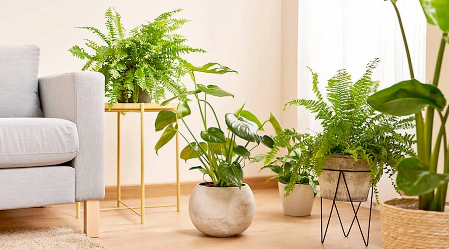 Transform Your Home with Artificial Plants: A Complete Guide to Decorating with Ease