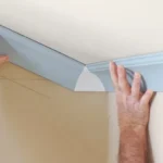 Crown Mold Ceiling