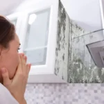 Smell Is Mold