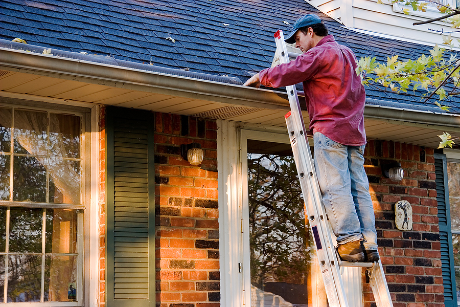 Exterior Cleaning Exterior Cleaning