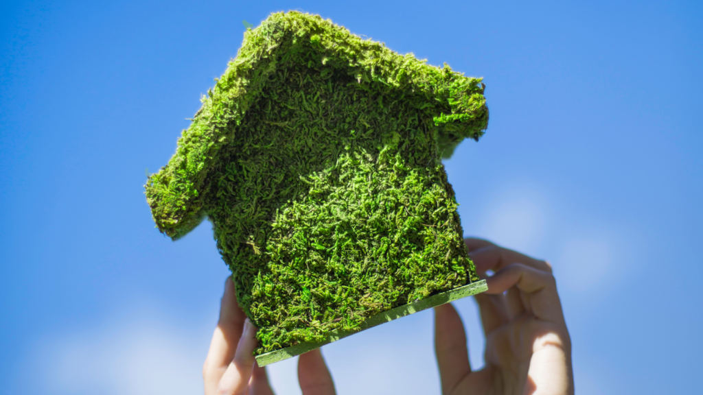 Luxury and Green Property Opportunities Luxury and Green Property Opportunities
