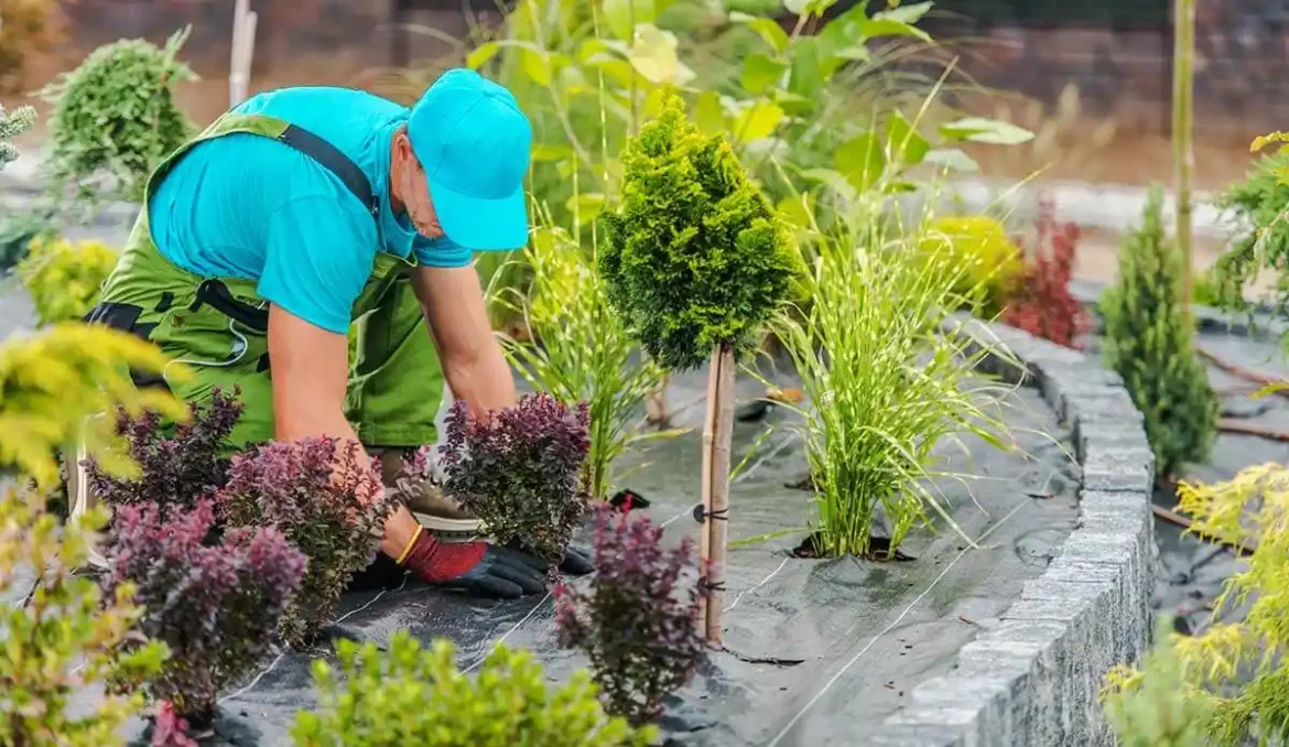 How Can a Professional Landscaper Transform Your Outdoor Space?