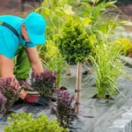Transform Your Outdoor Space