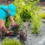 How Can a Professional Landscaper Transform Your Outdoor Space?