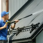 Professional Cleaning