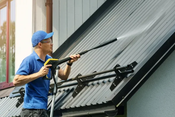 Professional Cleaning