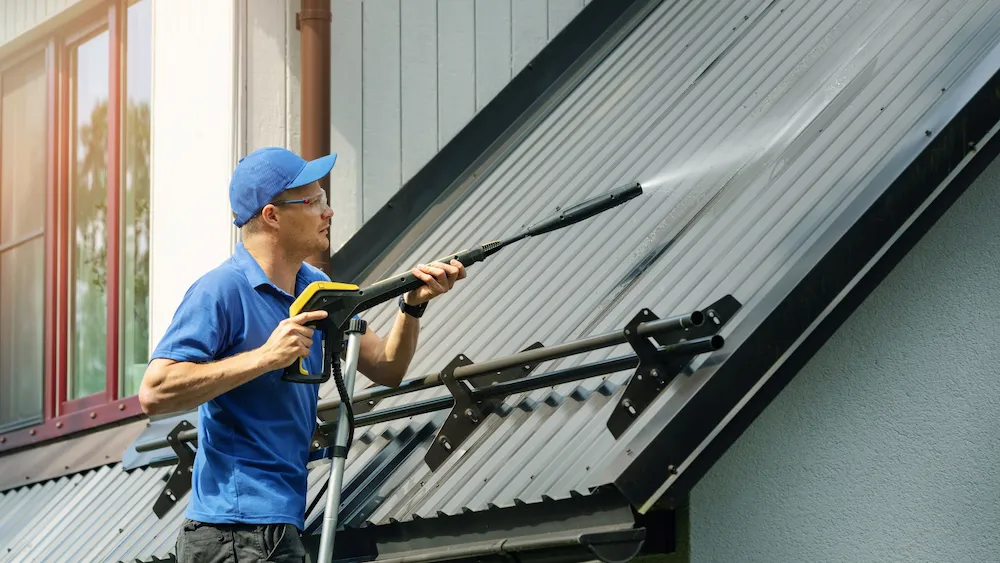 Professional Cleaning Professional Cleaning