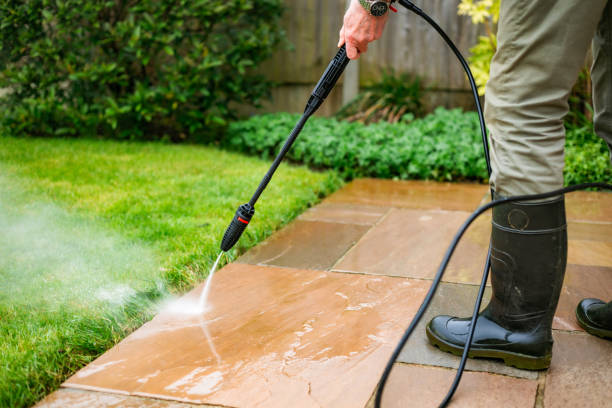 Reviving Outdoor Spaces with Expert Care Outdoor Spaces with Expert Care